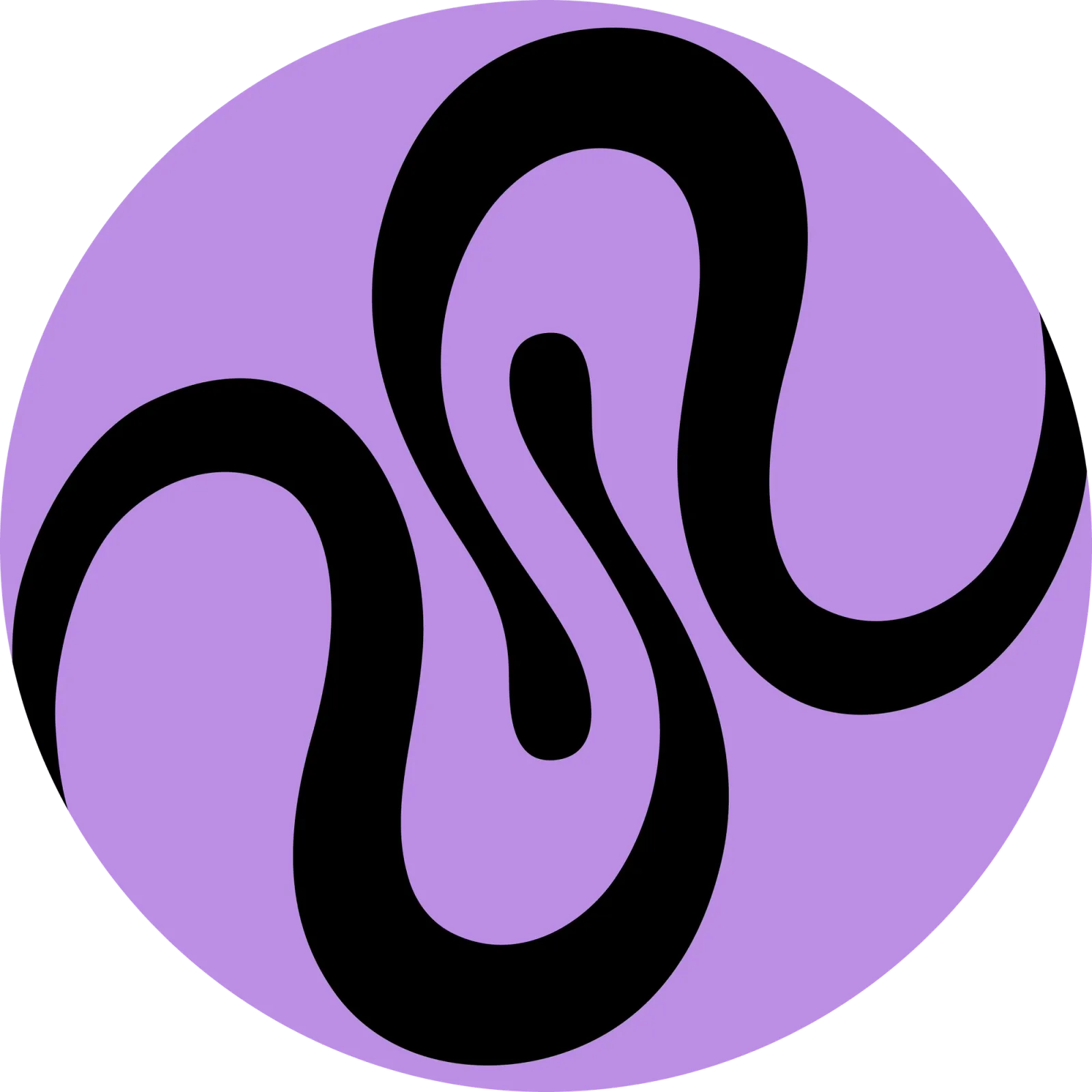 Squid